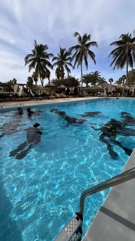 Plongeurs en formation dans une piscine avec des palmiers en arrière-plan