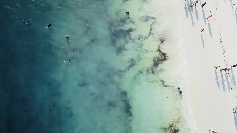 Vue aérienne de plongeurs dans une eau turquoise et claire