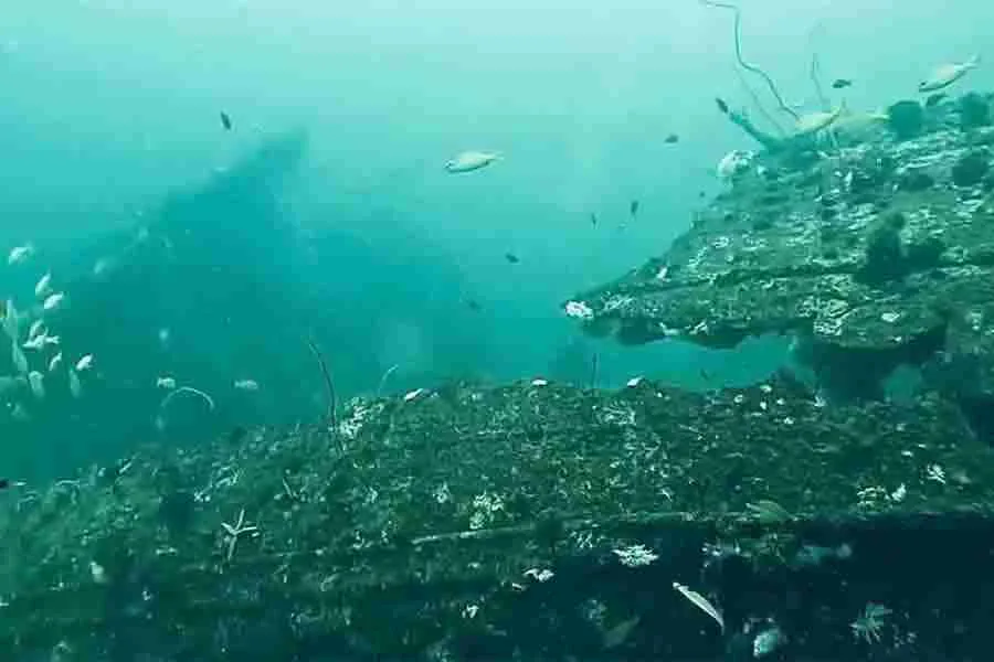 Epave sous-marine colonisée par la vie marine et des poissons