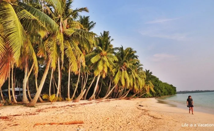 Plage de sable fin bordée de palmiers avec une personne marchant