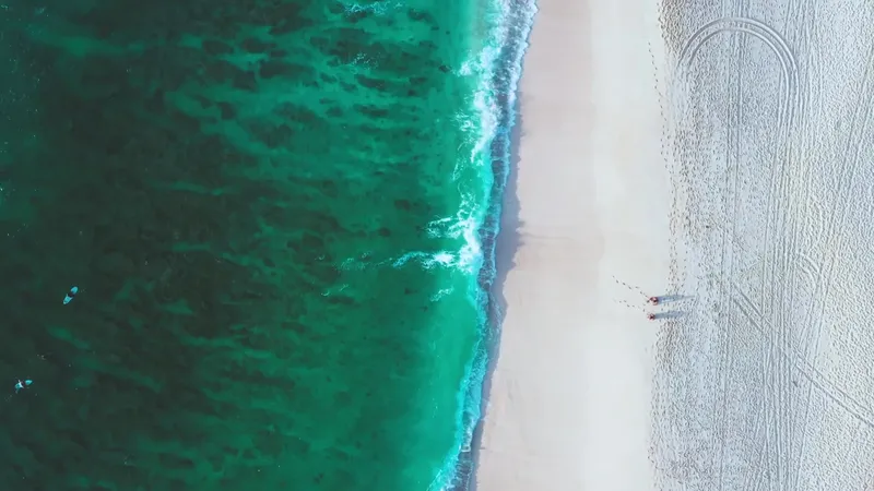Vue aérienne d'une plage avec des personnes se baignant dans la mer