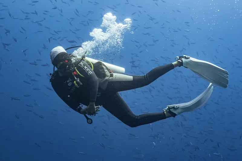 Plongeur en scaphandre nageant dans une eau bleue entouré de poissons