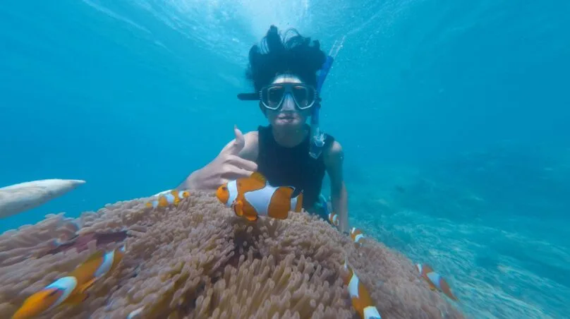 Plongeur interagissant avec des poissons-clowns dans un récif corallien