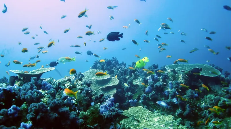 Récif corallien coloré avec une multitude de poissons tropicaux
