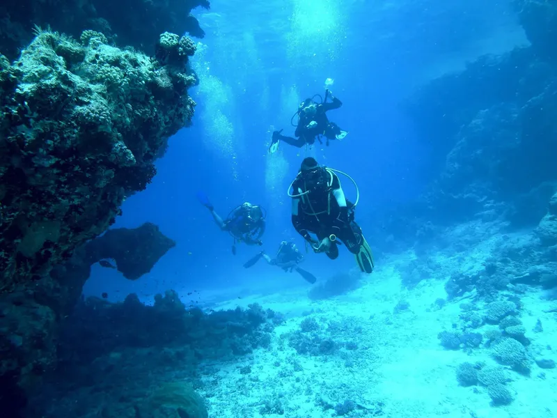 Trois plongeurs explorent un récif corallien en eau bleue claire