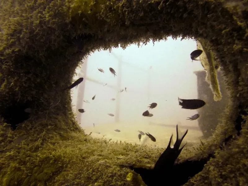 Vue à travers une ouverture sur un épave avec des poissons