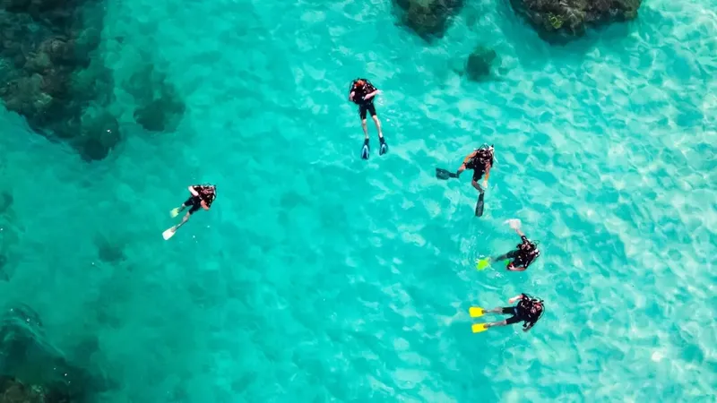 Vue aérienne de plongeurs explorant un récifal turquoise et clair