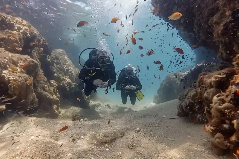 Deux plongeurs explorent un récif rocheux avec de nombreux poissons