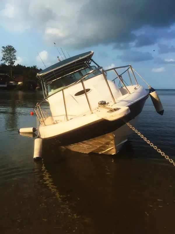 Bateau de plongée blanc amarré dans une eau trouble et sombre