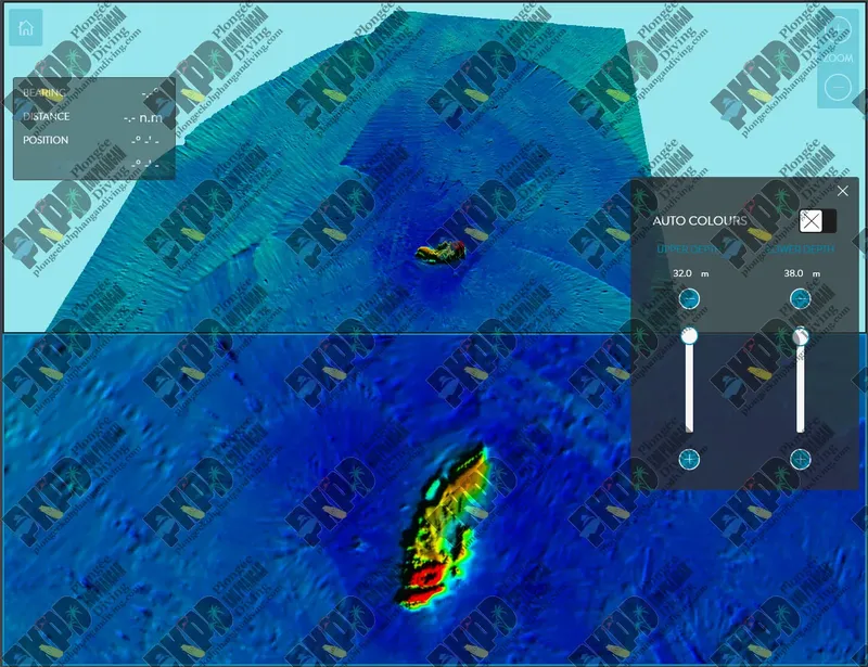 Vue sous-marine d'un poisson coloré sur un fond rocheux bleu