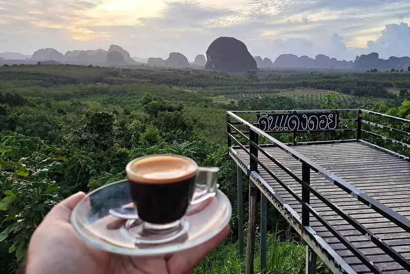 Vue panoramique sur paysage montagneux avec une tasse de café tenue