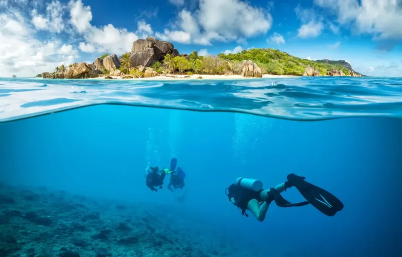 Deux plongeurs explorent un récif corallien sous une île tropicale