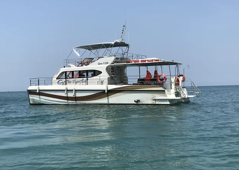 Catamaran blanc et marron navigue sur une mer bleue calme
