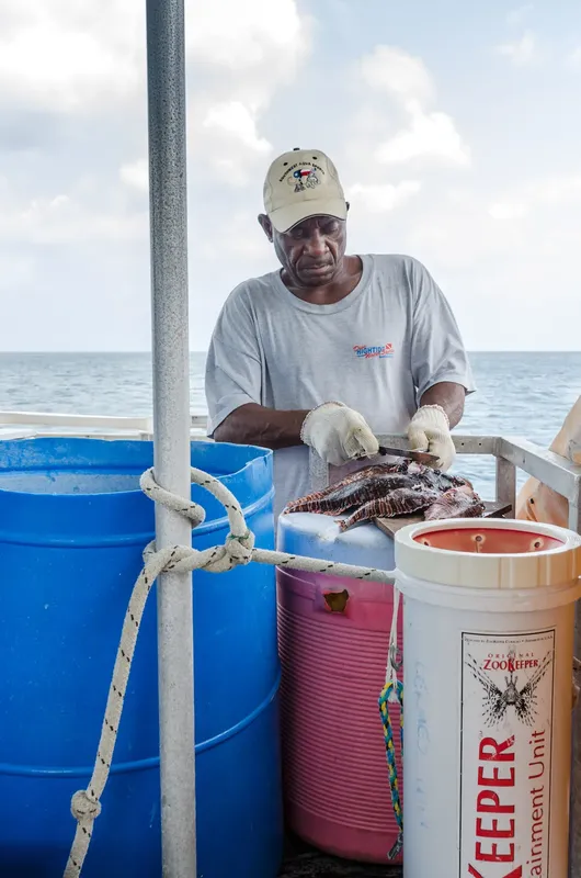 Homme manipulant un poisson sur un bateau en mer, lumière naturelle