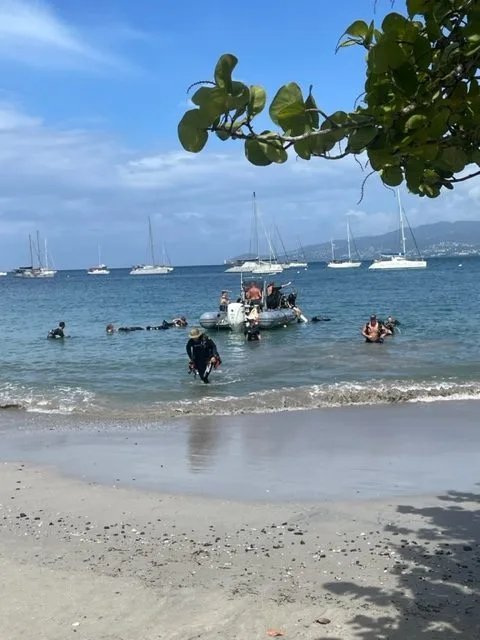 Plongée : des personnes équipées sortent de l'eau sur une plage