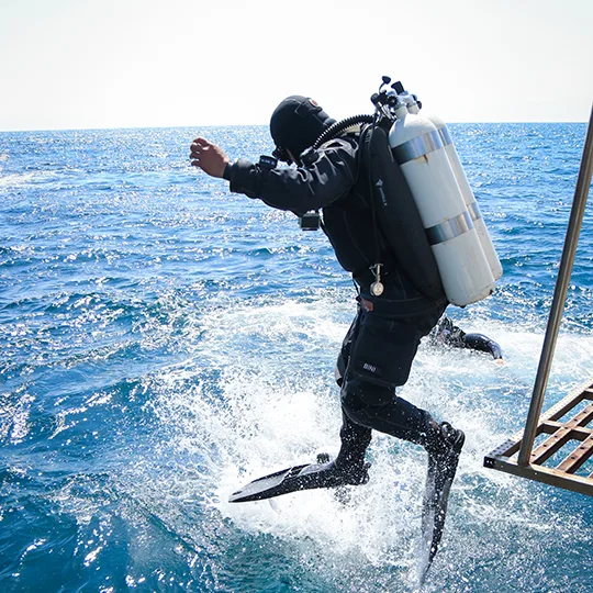 Mobydick Dive