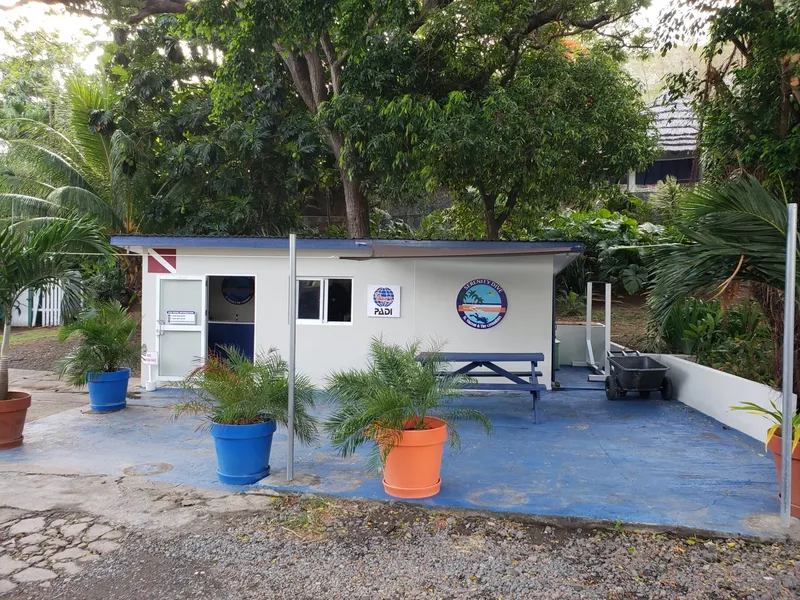 Façade d'un bâtiment blanc avec logos PADI et de plongée, plantes