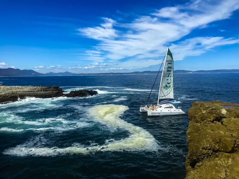 Catamaran à voile naviguant en mer avec des vagues et des rochers