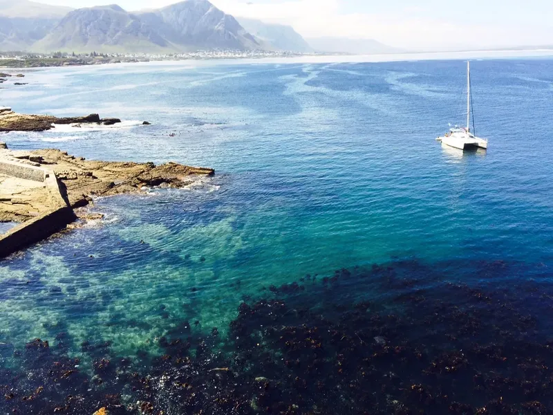 Vue d'un catamaran en mer avec des rochers et une côte