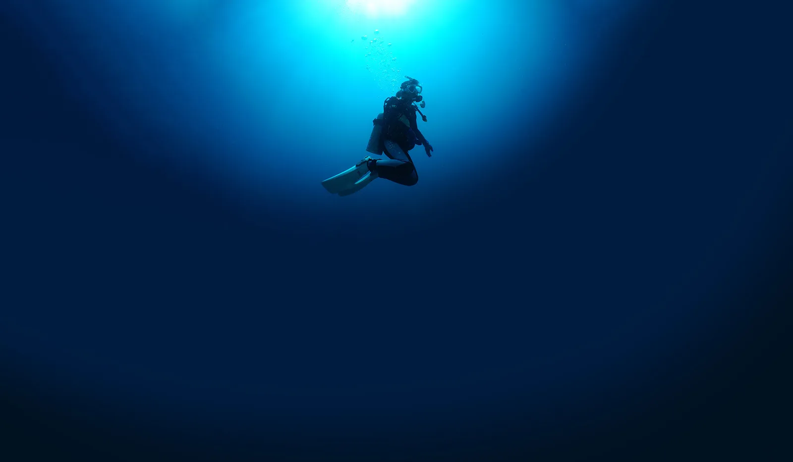 Aqua Cat Horomui Diving