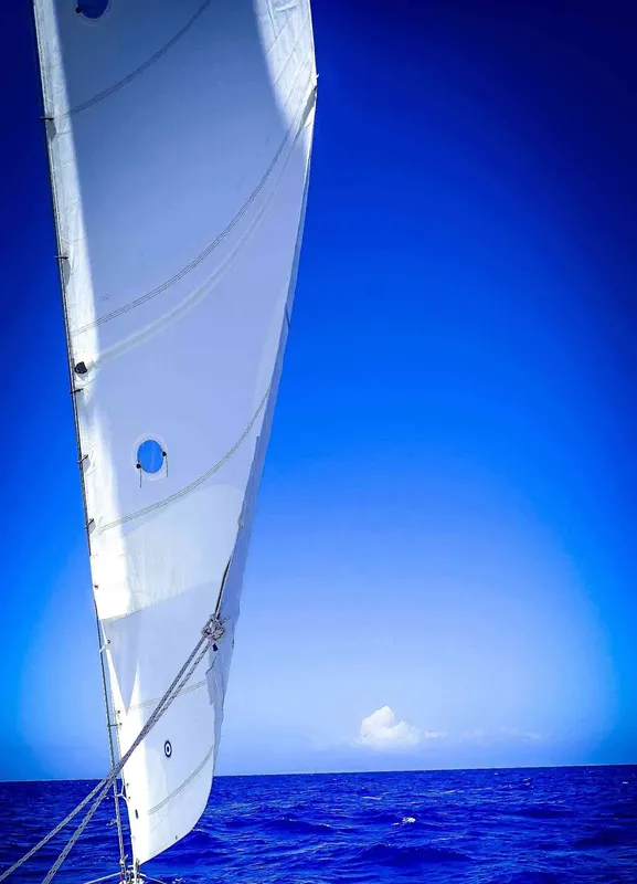 Voile blanche gonflée par le vent sur mer bleue dégagée