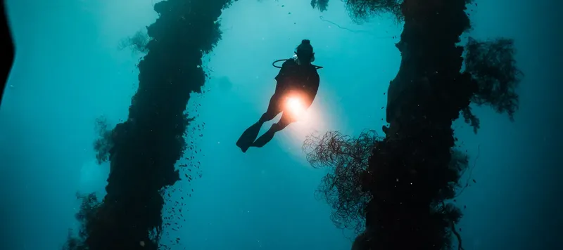 Plongeur evoluant entre deux structures verticales dans une eau turquoise