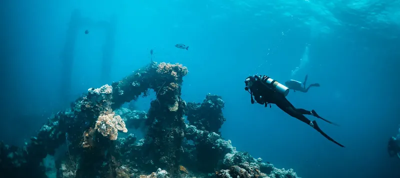 Deux plongeurs explorent une épave colonisée par la vie marine