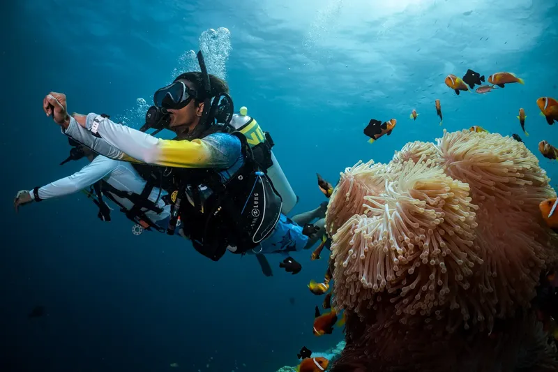 Plongeur explore un récifal corallien avec des poissons colorés