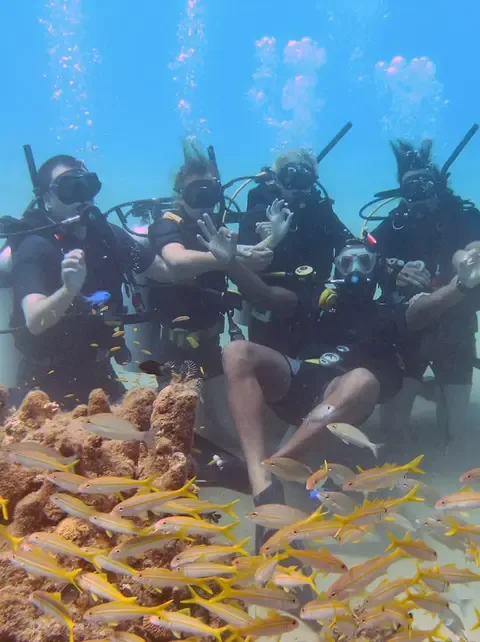 Plongeurs souriants interagissent avec un banc de poissons jaunes corail