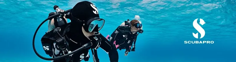 Deux plongeurs en combinaison explorent les fonds marins bleus turquoise