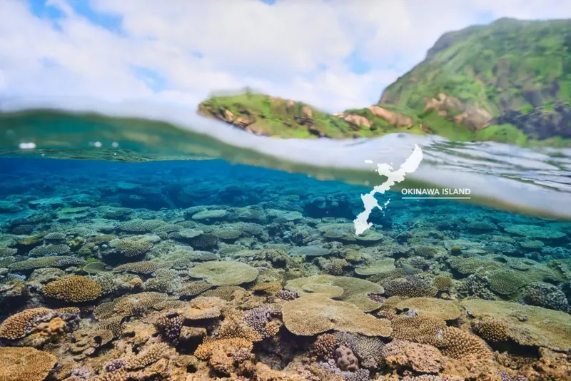 Vue sous-marine d'un récifal corallien avec une carte d'Okinawa