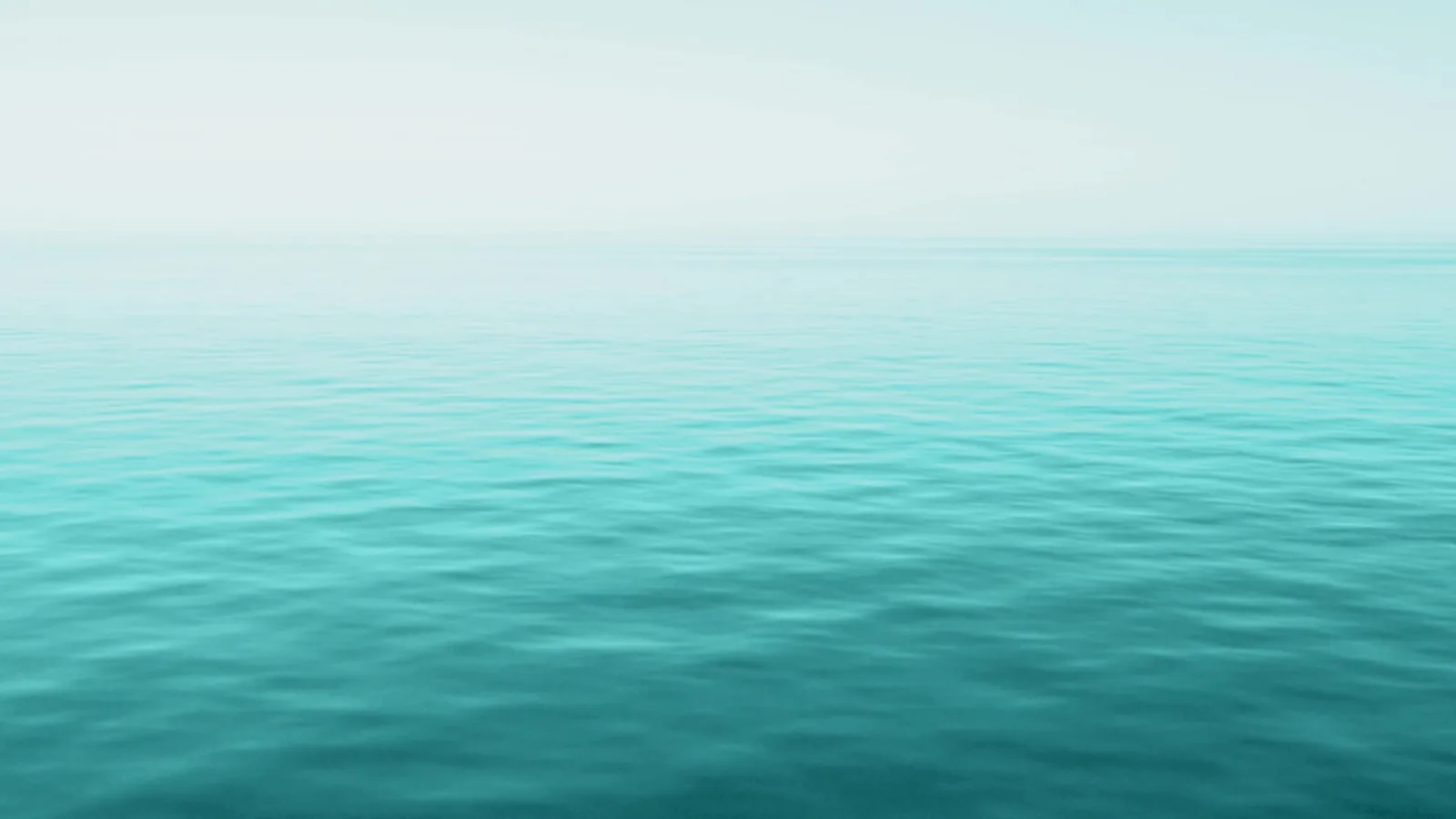 Kumoodive