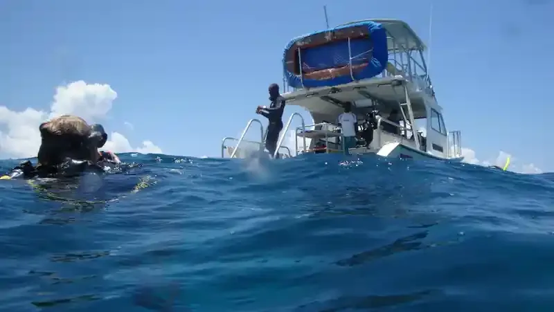 Plongeurs s'apprêtent à monter à bord d'un bateau de plongée