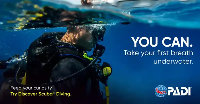 Plongeur en exploration sous-marine, publicité pour une formation PADI