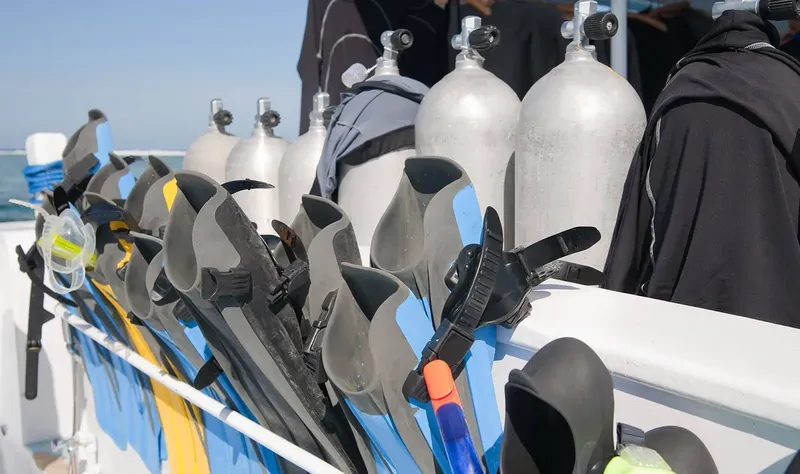 Rangée de palmes et de bouteilles de plongée sur un bateau
