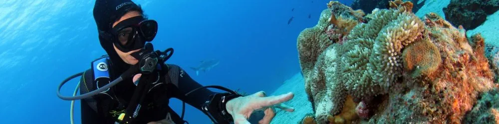 Goby Divers and Watersports N.V.