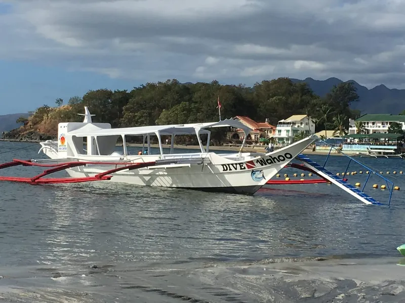 Bateau de plongée blanc et rouge amarré près d'une plage tropicale