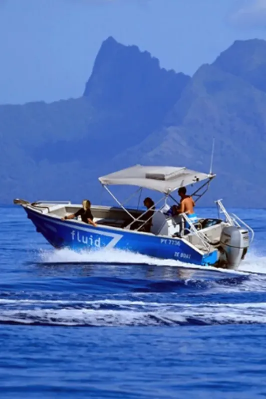 Bateau semi-rigide bleu navigue sur une mer calme avec des montagnes