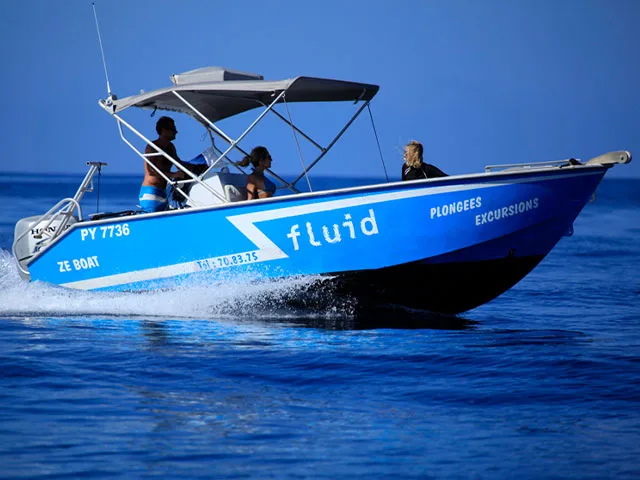 Bateau de plongée bleu avec passagers naviguant sur une mer calme