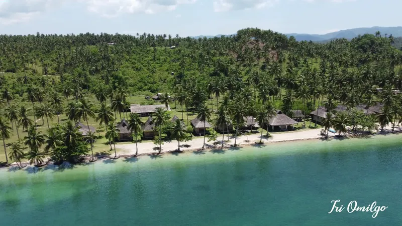 Vue aérienne d'une plage tropicale avec des bungalows et végétation luxuriante