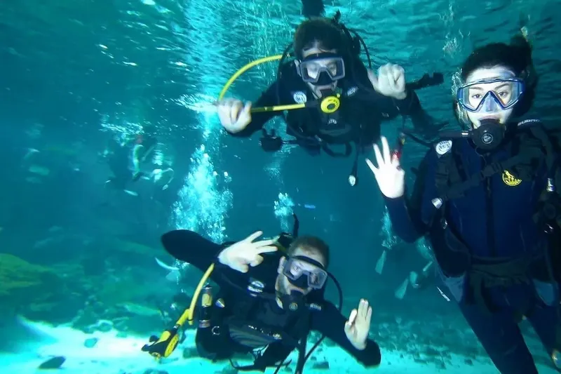 Trois plongeurs souriants et faisant des signes de la main sous l'eau