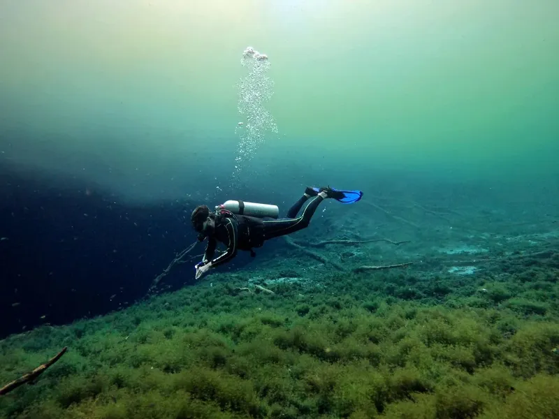 Plongeur en combinaison nageant dans une eau verte et trouble