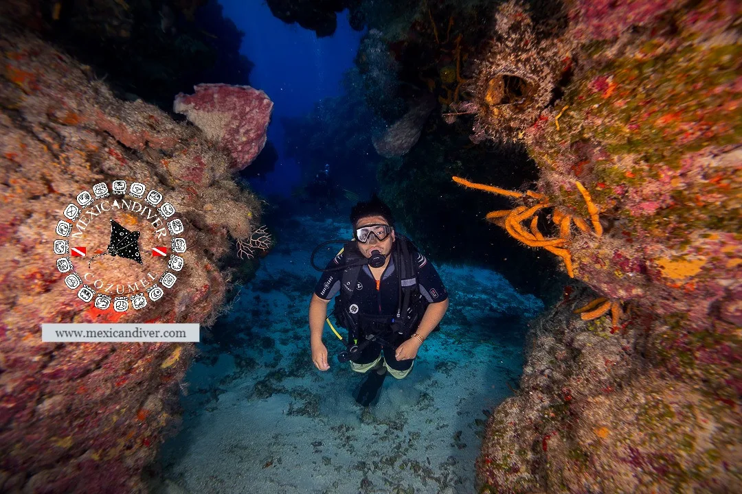 Plongeur explorant un récif corallien coloré en milieu sous-marin