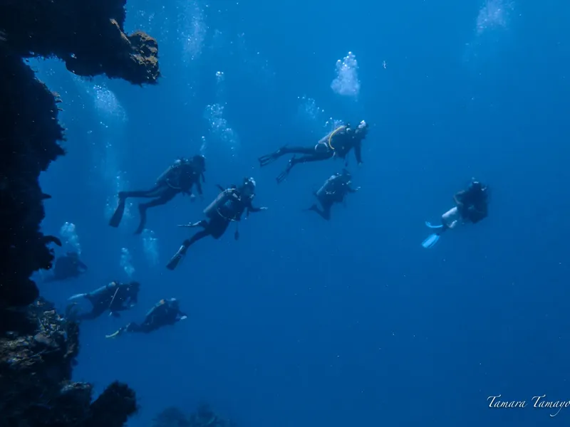 Groupe de plongeurs explorant un récif rocheux en eau profonde