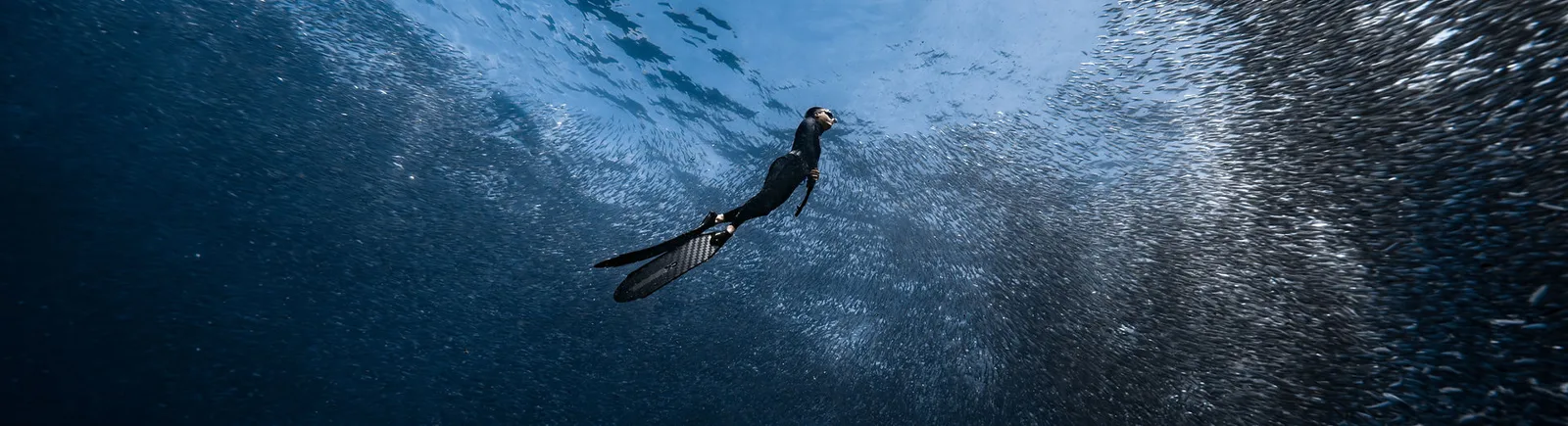 Freediving Planet