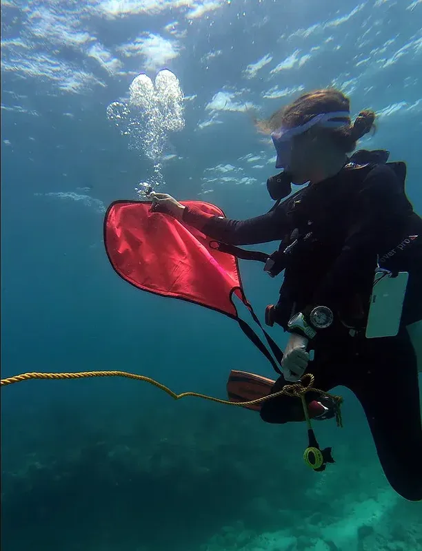 Plongeuse tenant un panneau rouge sous l'eau, exploration marine