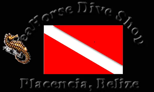Drapeau de plongee rouge et blanc avec un hippocampe stylise