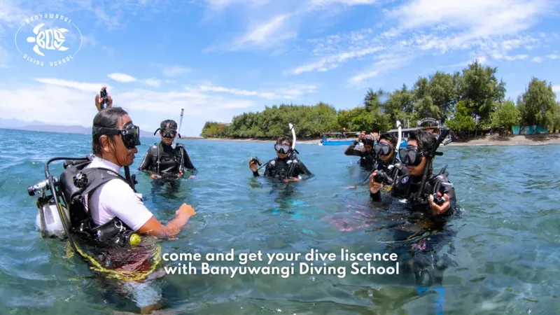 Groupe de plongeurs en formation dans une eau turquoise peu profonde