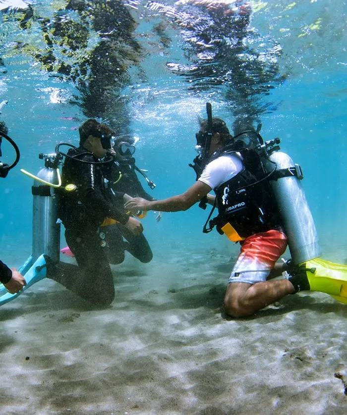 Deux plongeurs en formation interagissent sous l'eau sur fond sableux