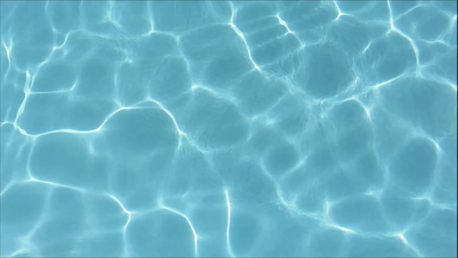 Summer-Salt Dive Center